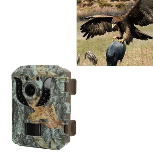 Trail Camera - 16MP