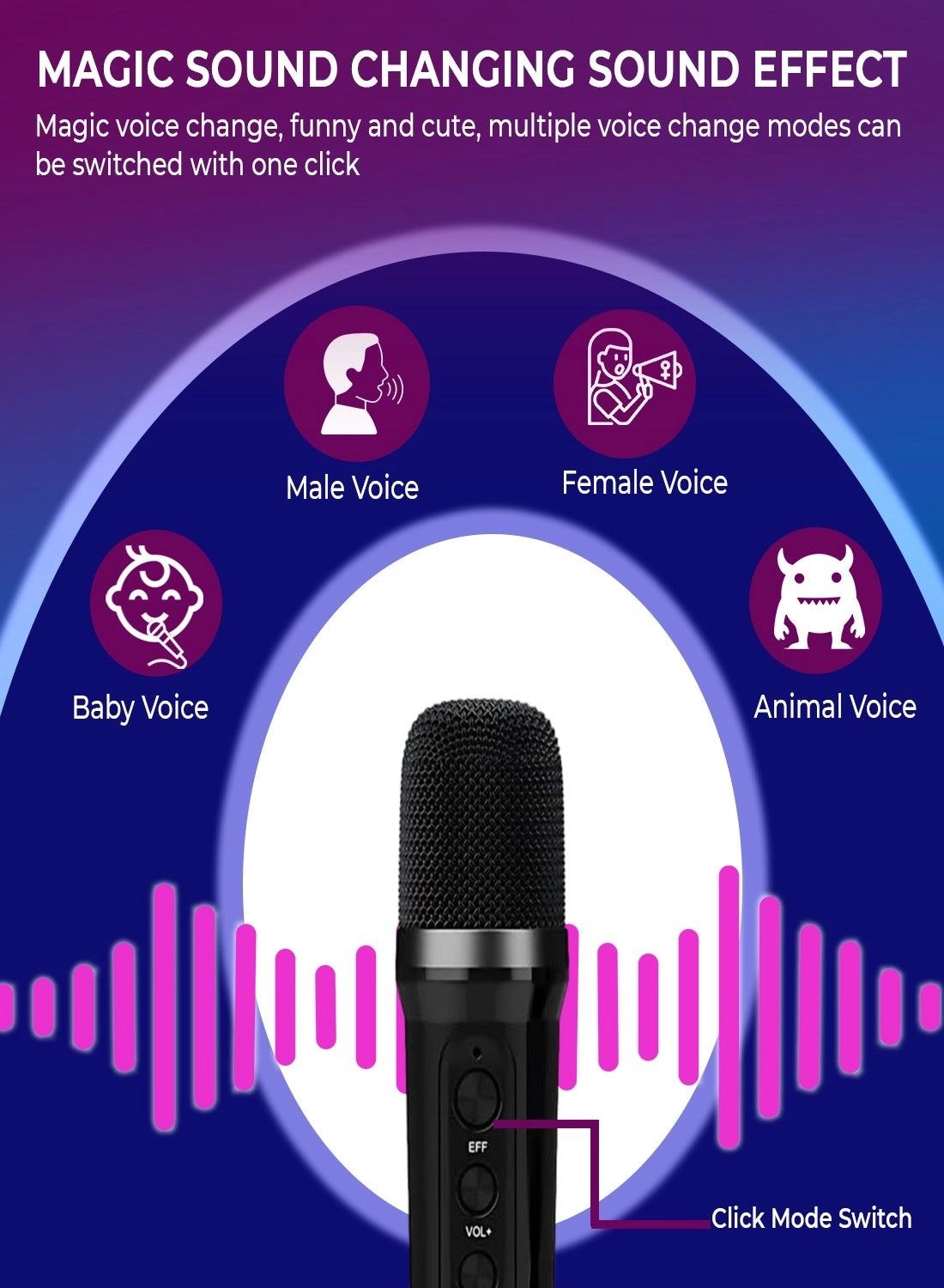 Karaoke Speaker - 2 Microphones 10W