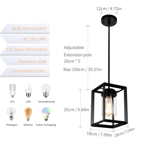 1 Light Pendant Light