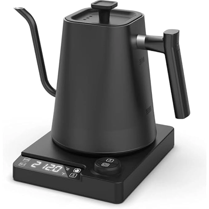 Temperature Control Electric Kettle