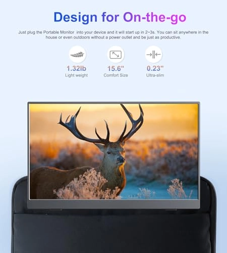 Portable Monitor - 1080P FHD 15.6''