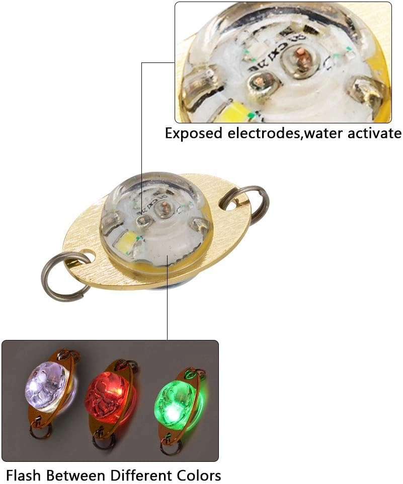 LED Fishing Light