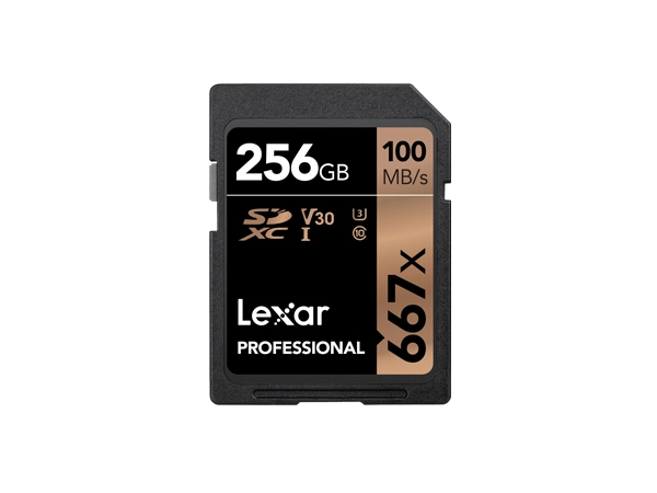 UHS-II PROFESSIONAL SD CARD - 256GB