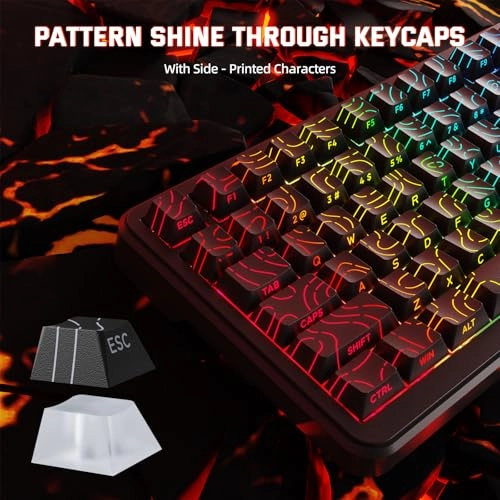 M82 HE - Wired/Wireless