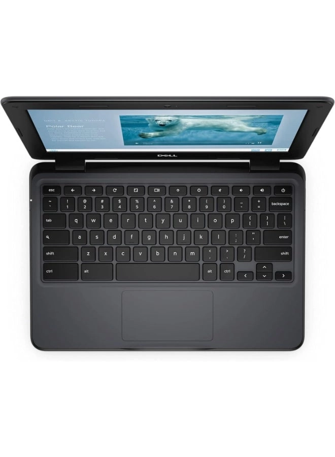 (Renewed) Chromebook 3100 - 11.6'' 32GB 4GB Celeron N4020