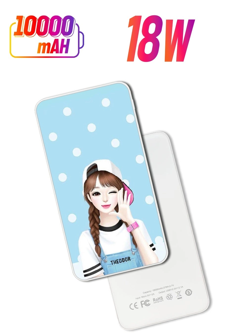 PPBA208 - 10000 Watt-hour 18W