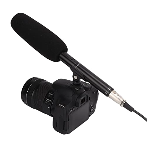 6g59oayf0l XLR Microphone