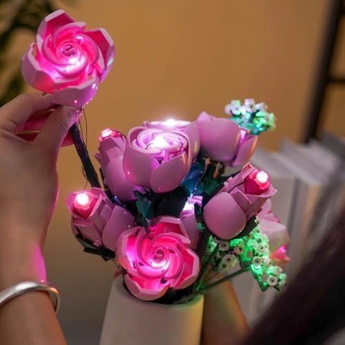 LED Lighting Set (DE02-10374-P100201)