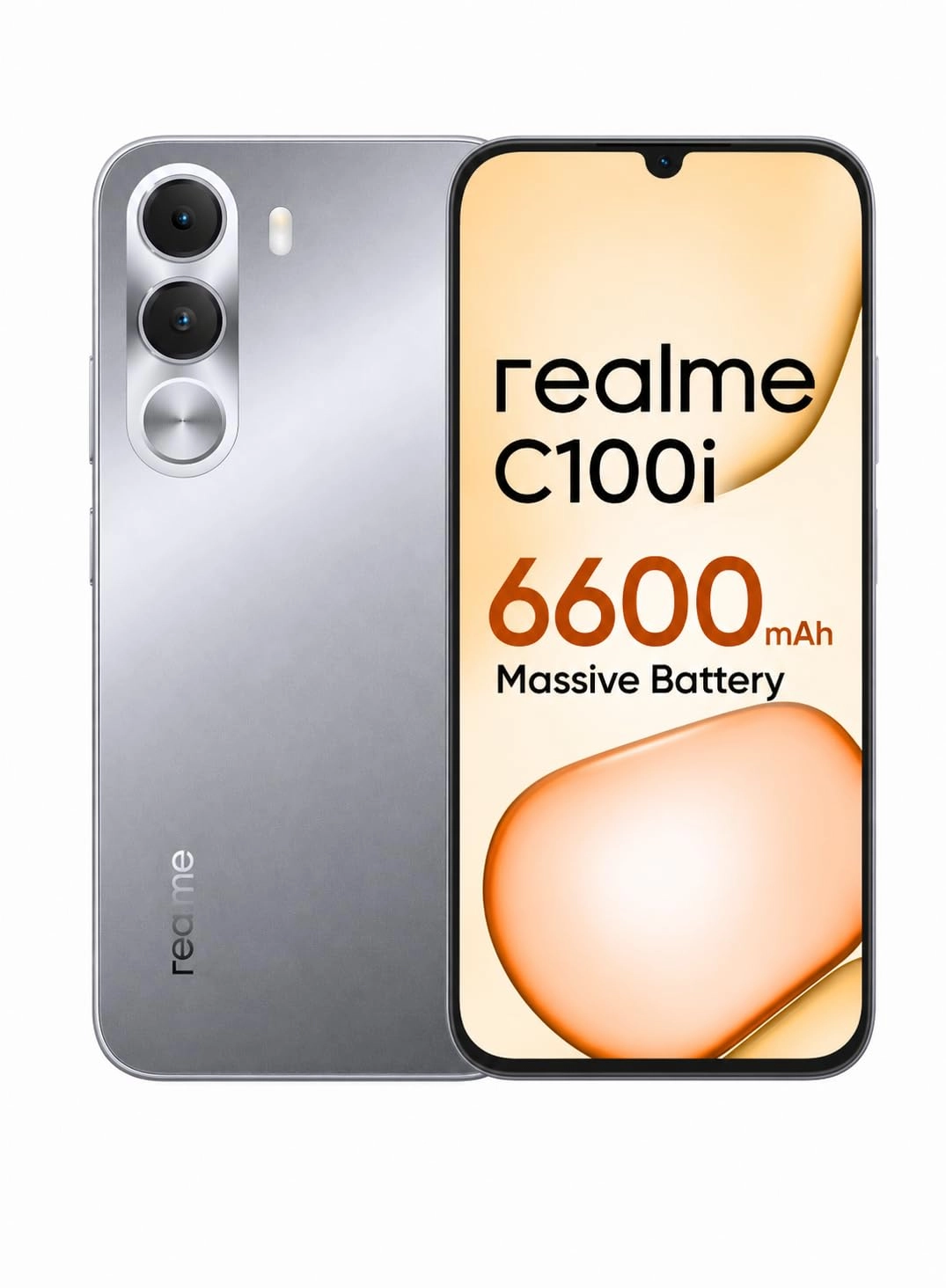 C100 - 4 GB 256 GB