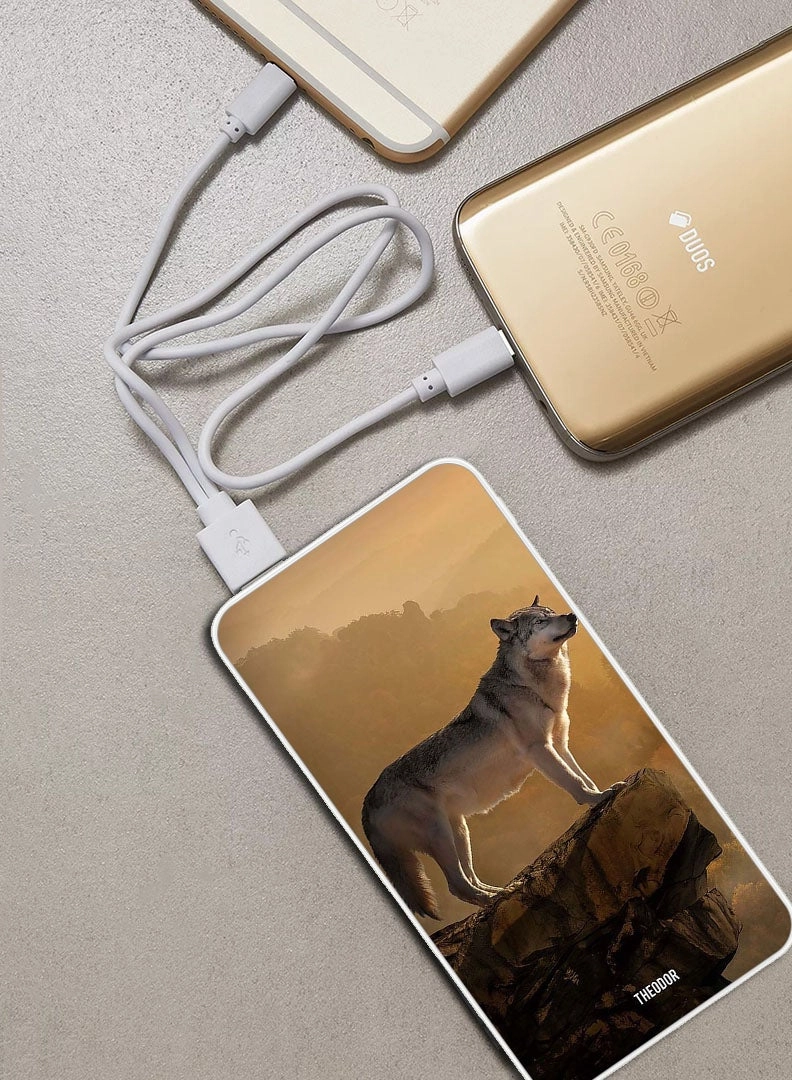 EX_PPBA499 - 10000 mAh 18W PD