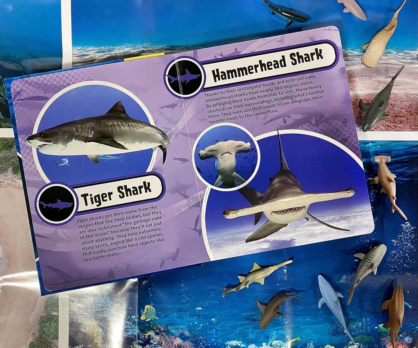 World of Sharks My Busy Board Book - 3 years+