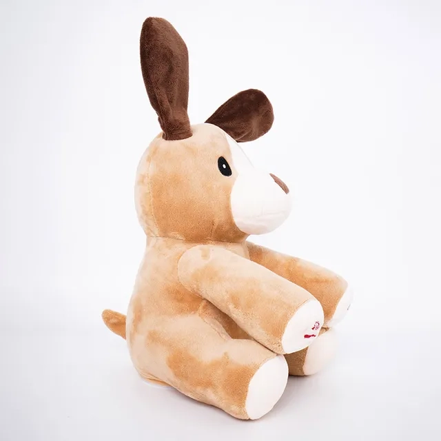 Peek A Boo Dash - 3 +