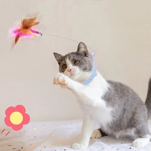 Feather Collar - Cat