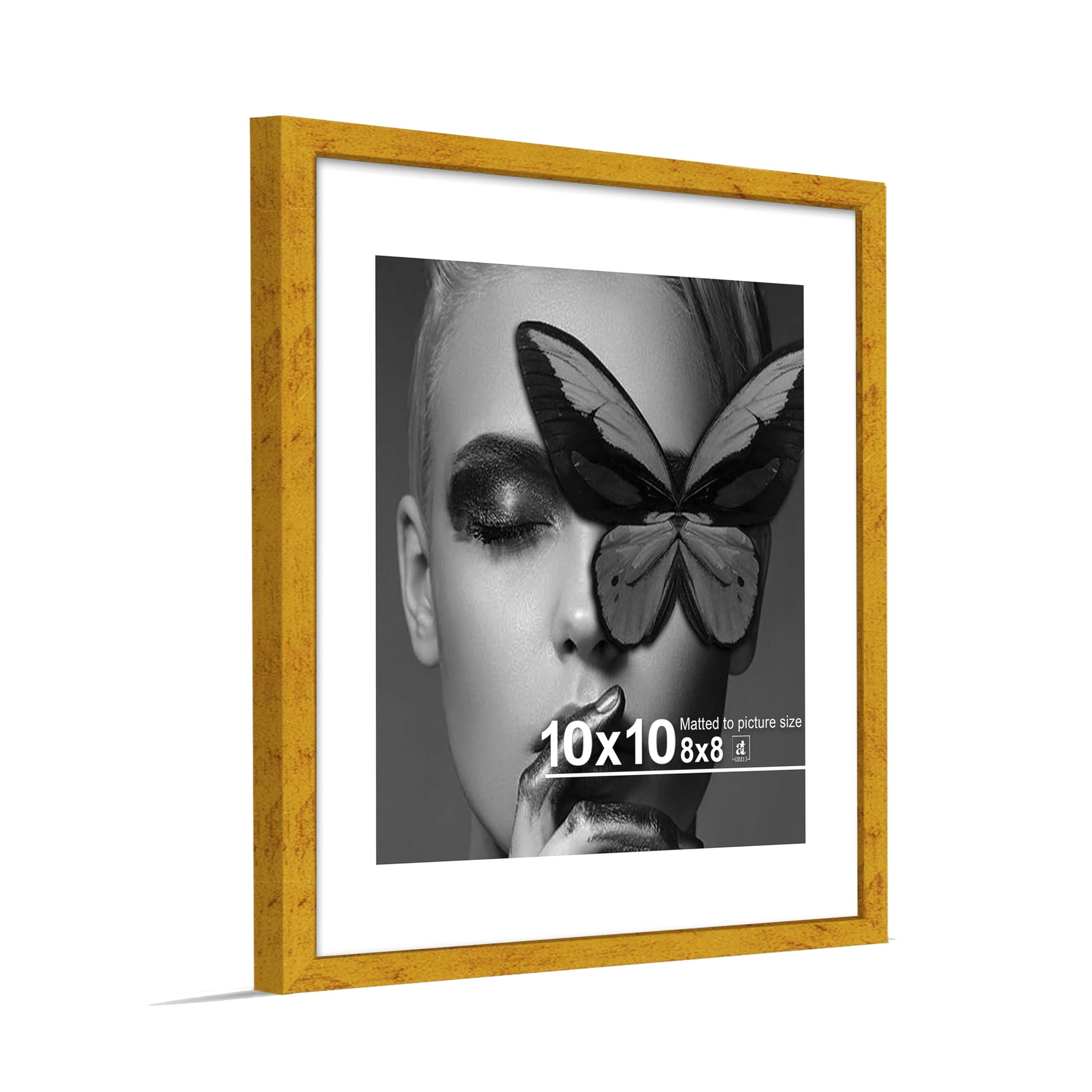 Document Frame - 10x10 Inch