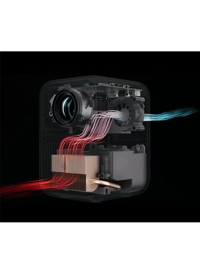 Dali 1 350 ANSI Lumens