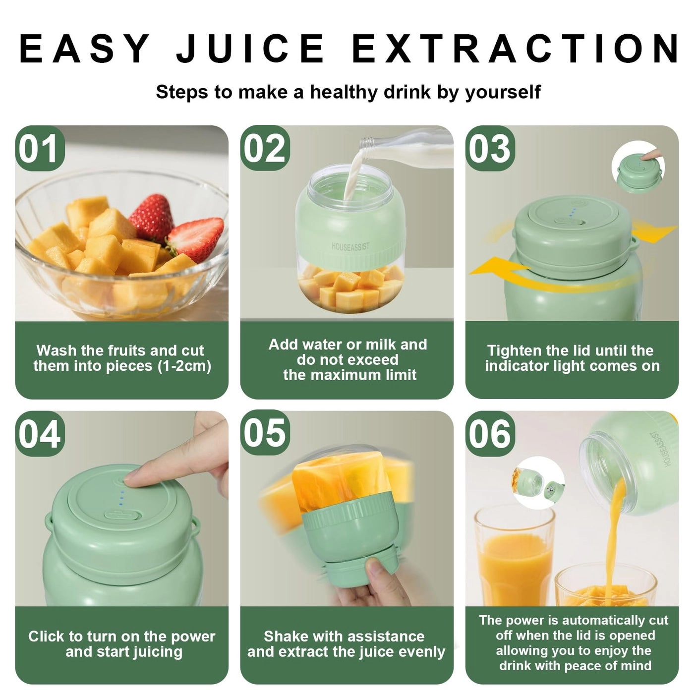 Portable Blender