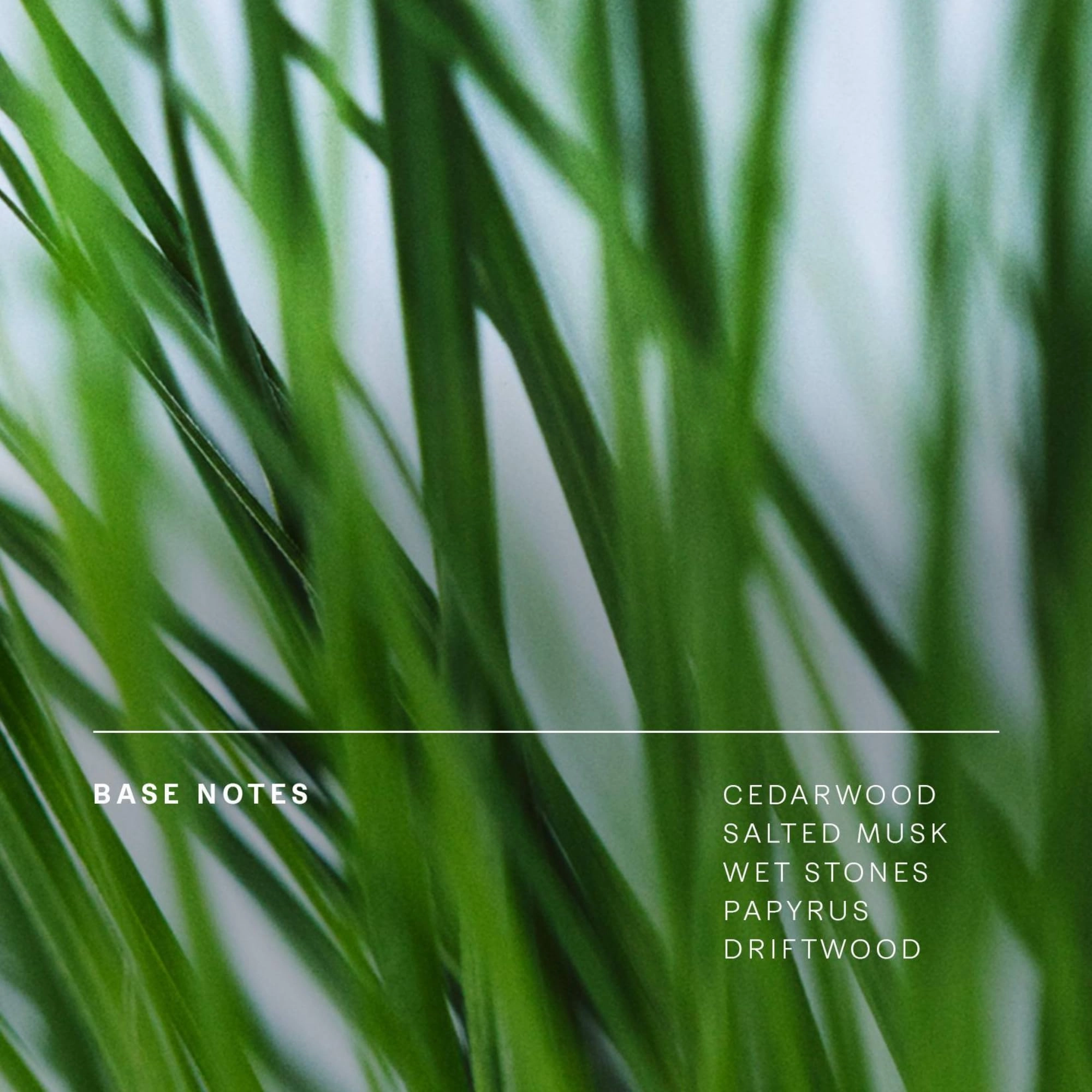 Floating Forest Eau de Parfum 50ml