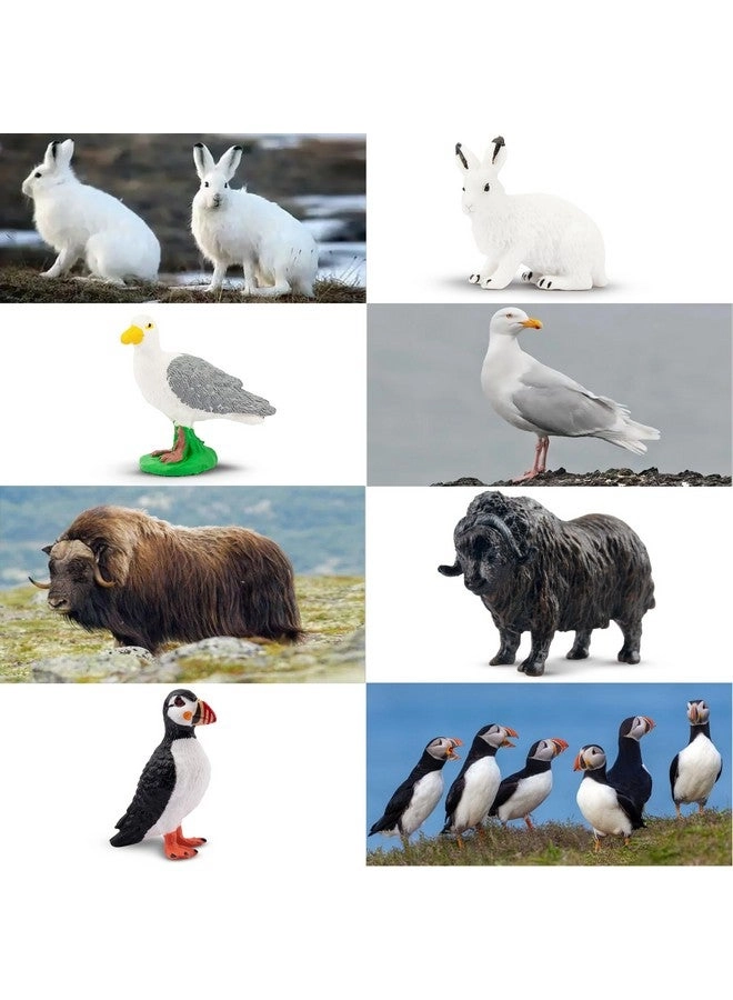 Mini Arctic Animals Figurines 14 pcs