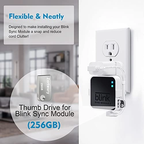 Blink USB Flash Drive - 256GB USB 3.0 + Outlet Wall Mount - Blink Sync Module 2