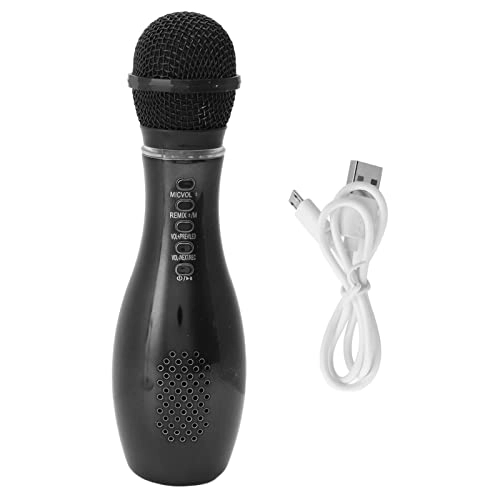 KTV Microphone Wireless Microphone