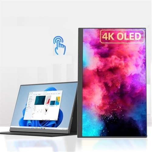 Portable Monitor - wpenshiDM125 18.5-inch 1080P