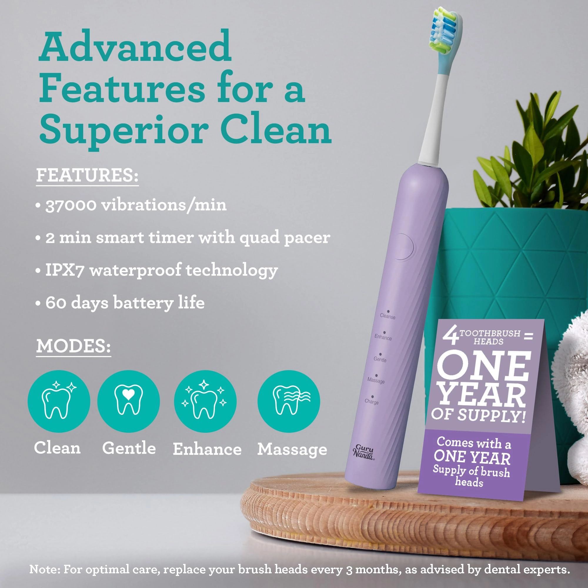 Lion & Lamb Kit 2.0 - 4 Brush Heads Lavender + Water Flosser - 4 Jet Tips IPX7 Waterproof