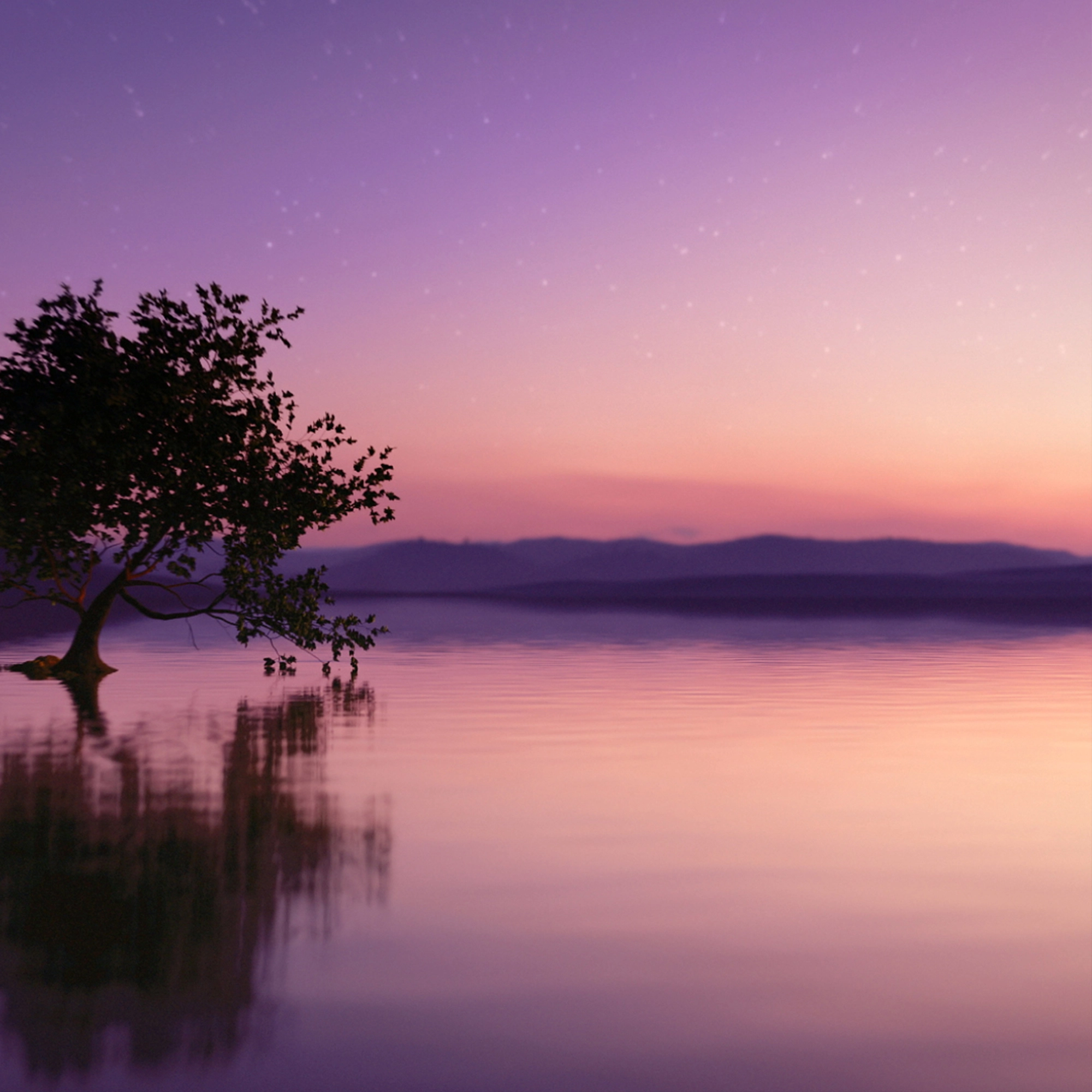 Sensuous Stars Eau de Parfum 100ml