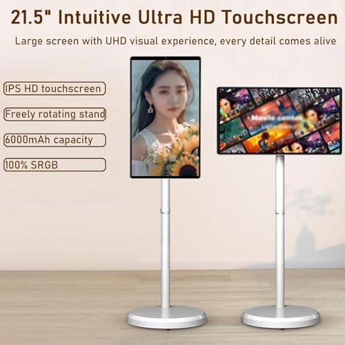 Portable Monitor - 1920*1080 21.5 Inch