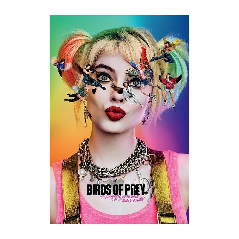 PYRAMID POSTERS Birds of Prey Seeing Stars Maxi - 61 x 91.5 cm