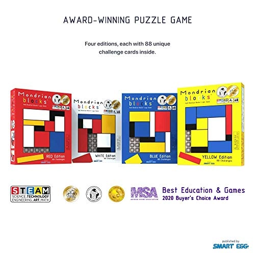 Brain Teaser STEM Puzzle Game - Blue 11 blocks