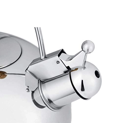 Stovetop Induction Whistling Kettle - 5L