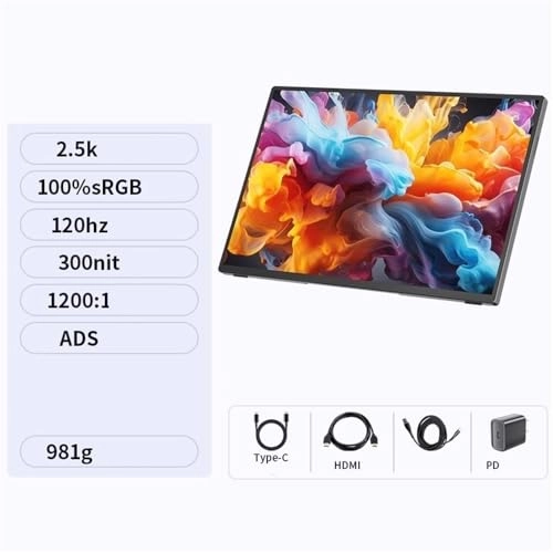 Portable Monitor - wpenshiDM125 16 inches 2560 x 1600