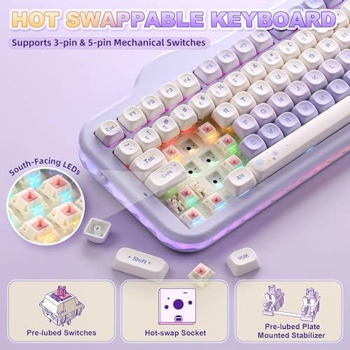 C98 - Wired/Wireless