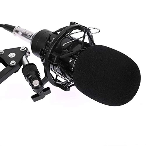 KTV Studio Microphone XLR Microphone