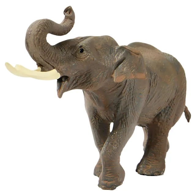 Safari Animal Collectibles (MD6169) 5 pcs