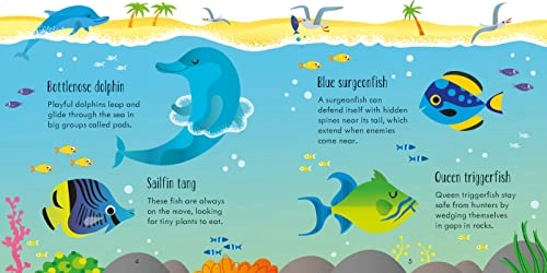 Under the Sea Matching Games and Book