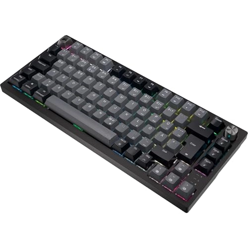 K65 Plus - DE Wireless
