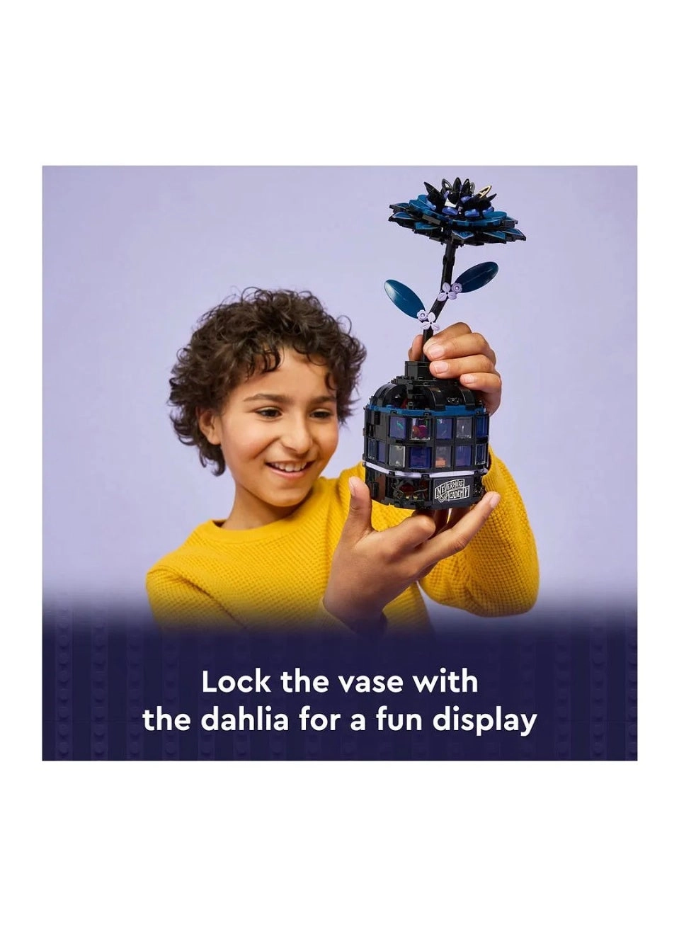 Wednesday Black Dahlia Flower