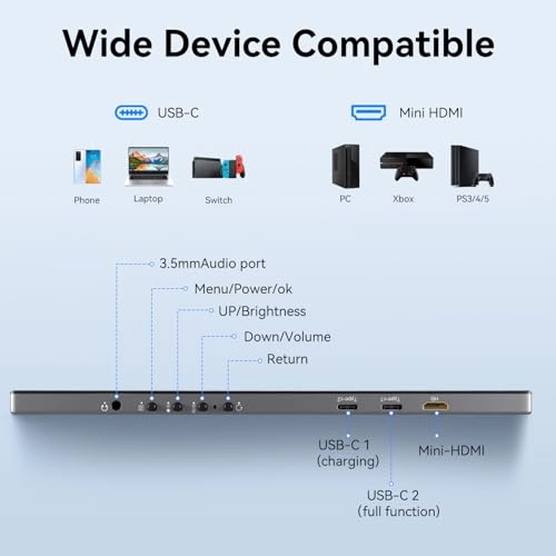 Carry Monitor - 1 15.6 Inch 1920 x 1080P