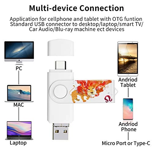 Photo-Stick - USB 3.0 Type C/Micro 256GB