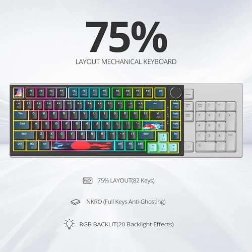 75% TKL Wired Mechanical Keyboard - Wired/Wireless