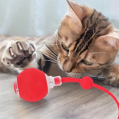 Haofy ki6cwq758y, Cat Toy