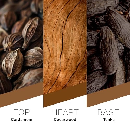 Berlin Eau de Parfum 100ml