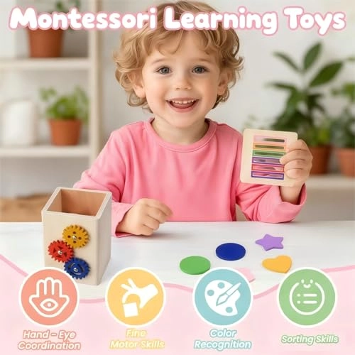 Montessori Wooden Toy - 3 years