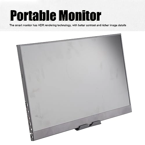 Portable Monitor - HD 17.3in