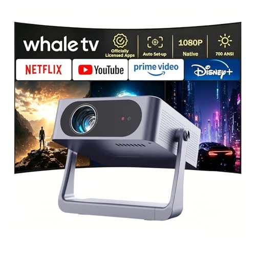 AE-C6 700 ANSI lumens 1080P
