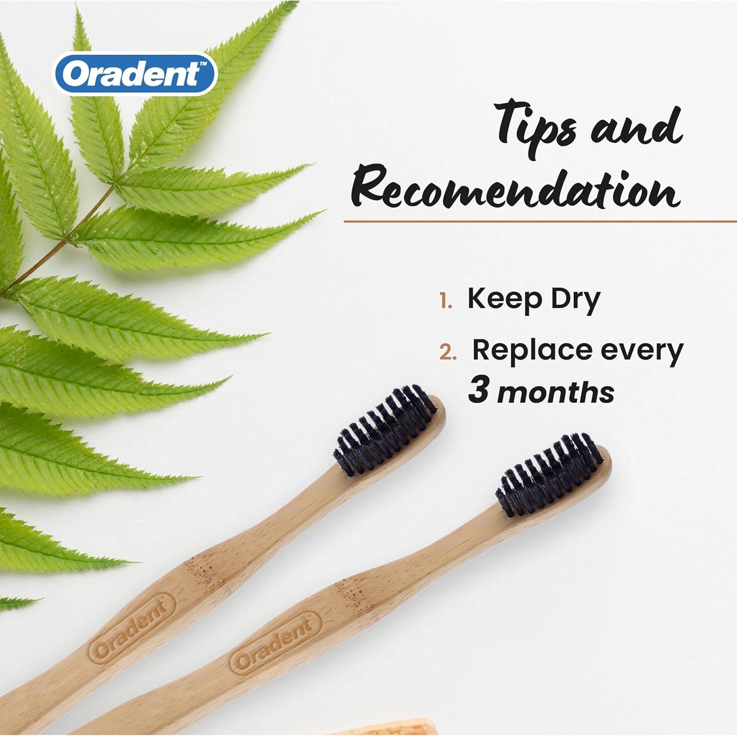 Eco Adult Bamboo Toothbrush - Medium