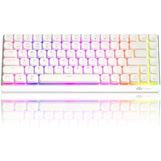 rayihni RK84 - Wired/Wireless