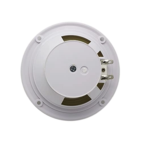 Outdoor Wireless Speaker - 4 Inch 160W