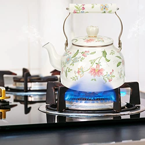 Glass Teapot - Enamel 2.5 Liters